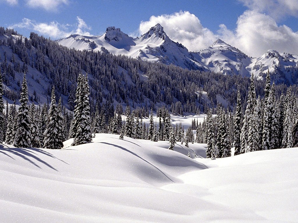 Tatoosh Range, Mount Rainier, Washington